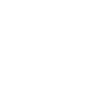 LINY Logo groß weiß